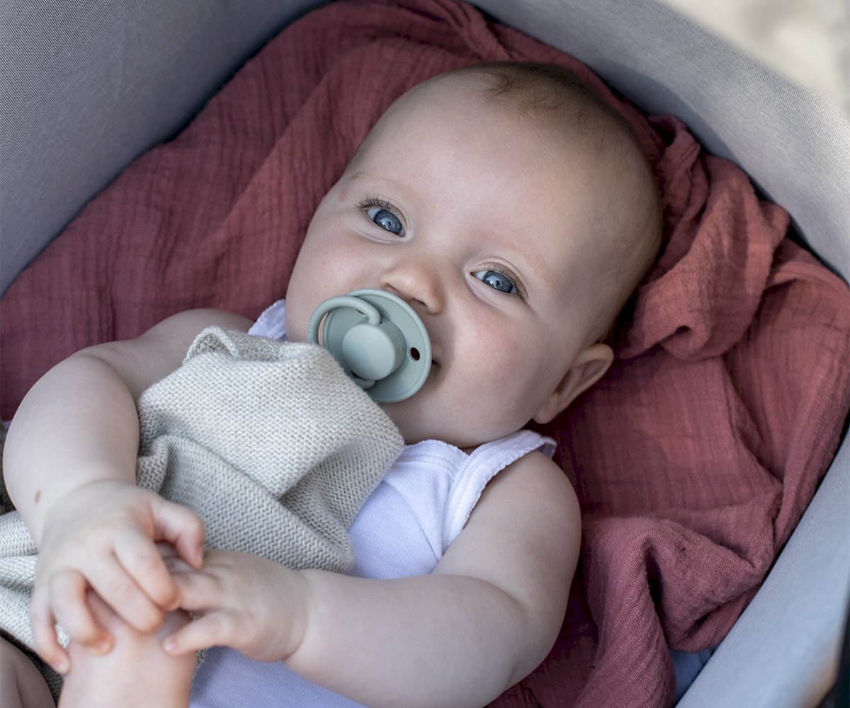 2 Chupetas Silicone BIBS De Lux Sage/Hunter