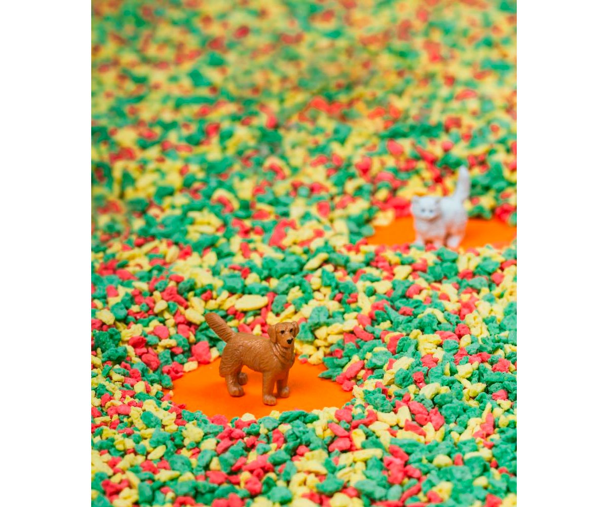 Bouteille Sensoriel Spy Pet