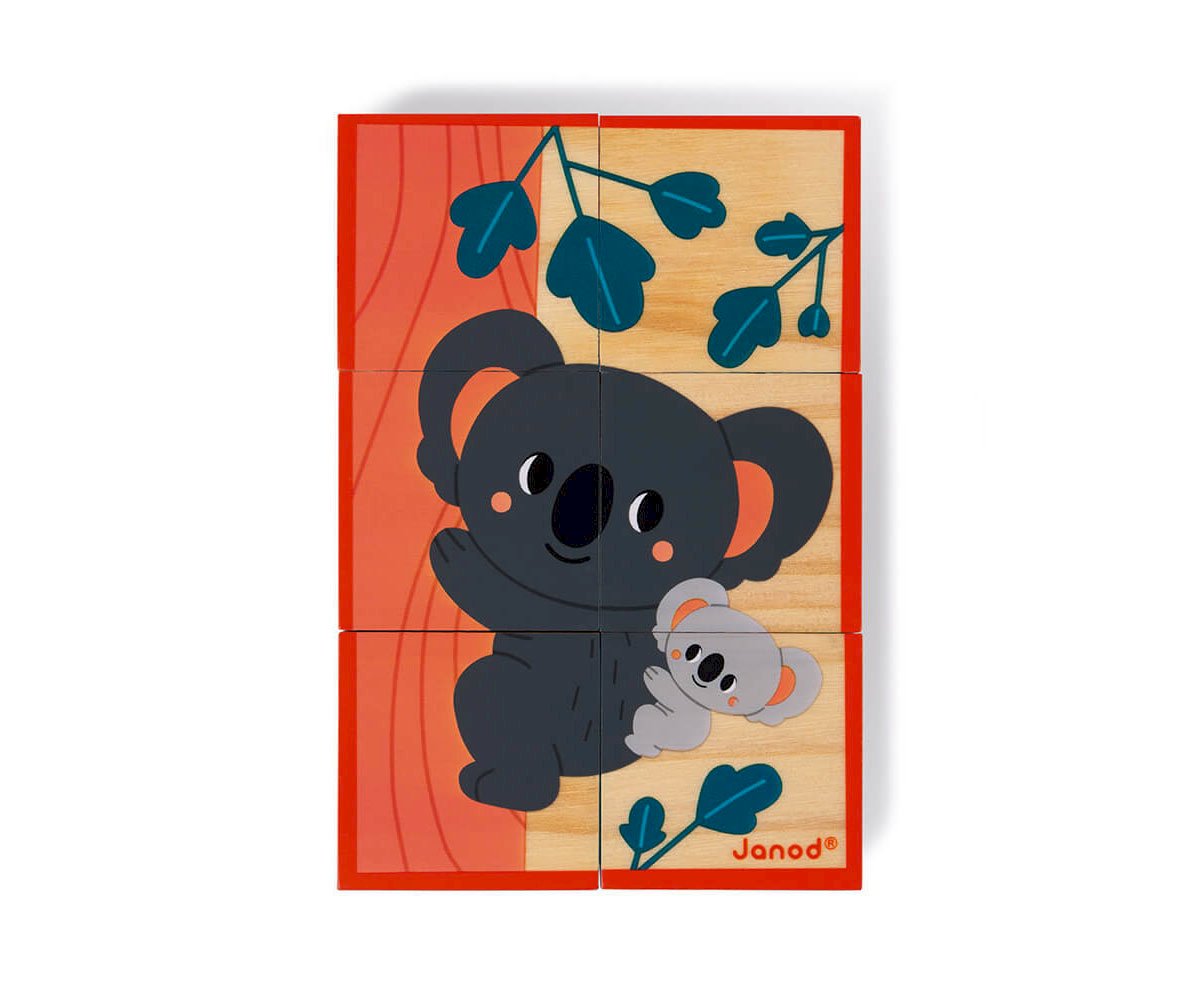 6 Cubi di Legno Animali