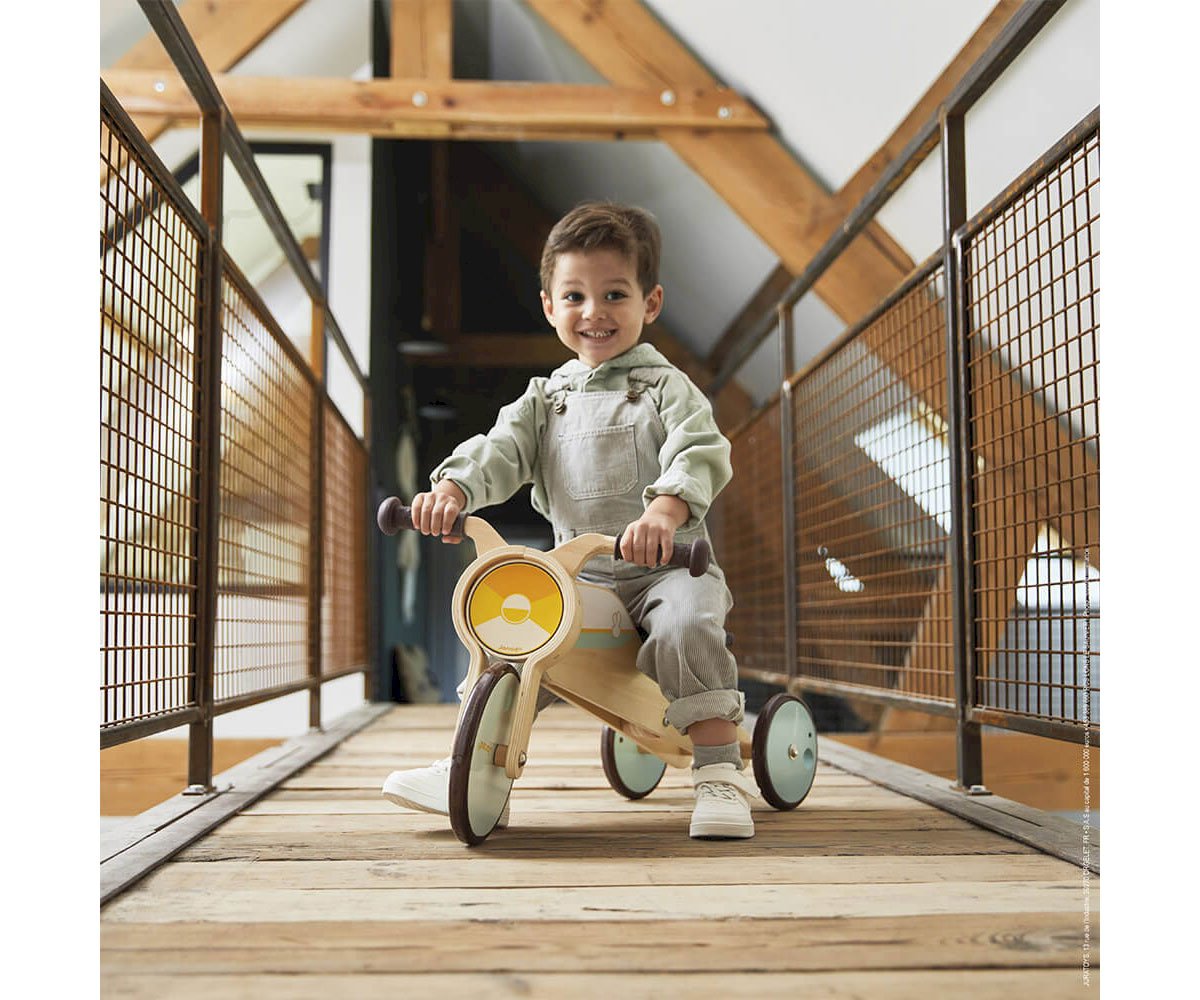 Triciclo-Dondolo Janod