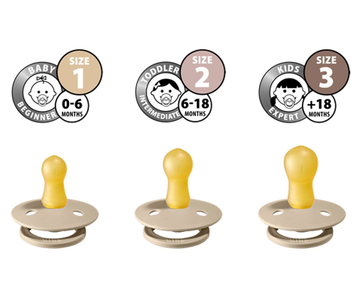 2 Succhietti BIBS Colour Cloud/Black