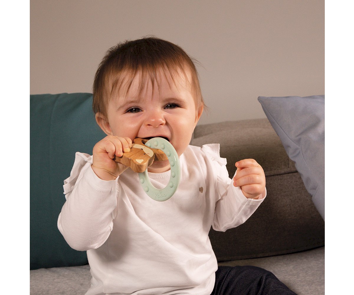 Anillo Mordedor Zorrito