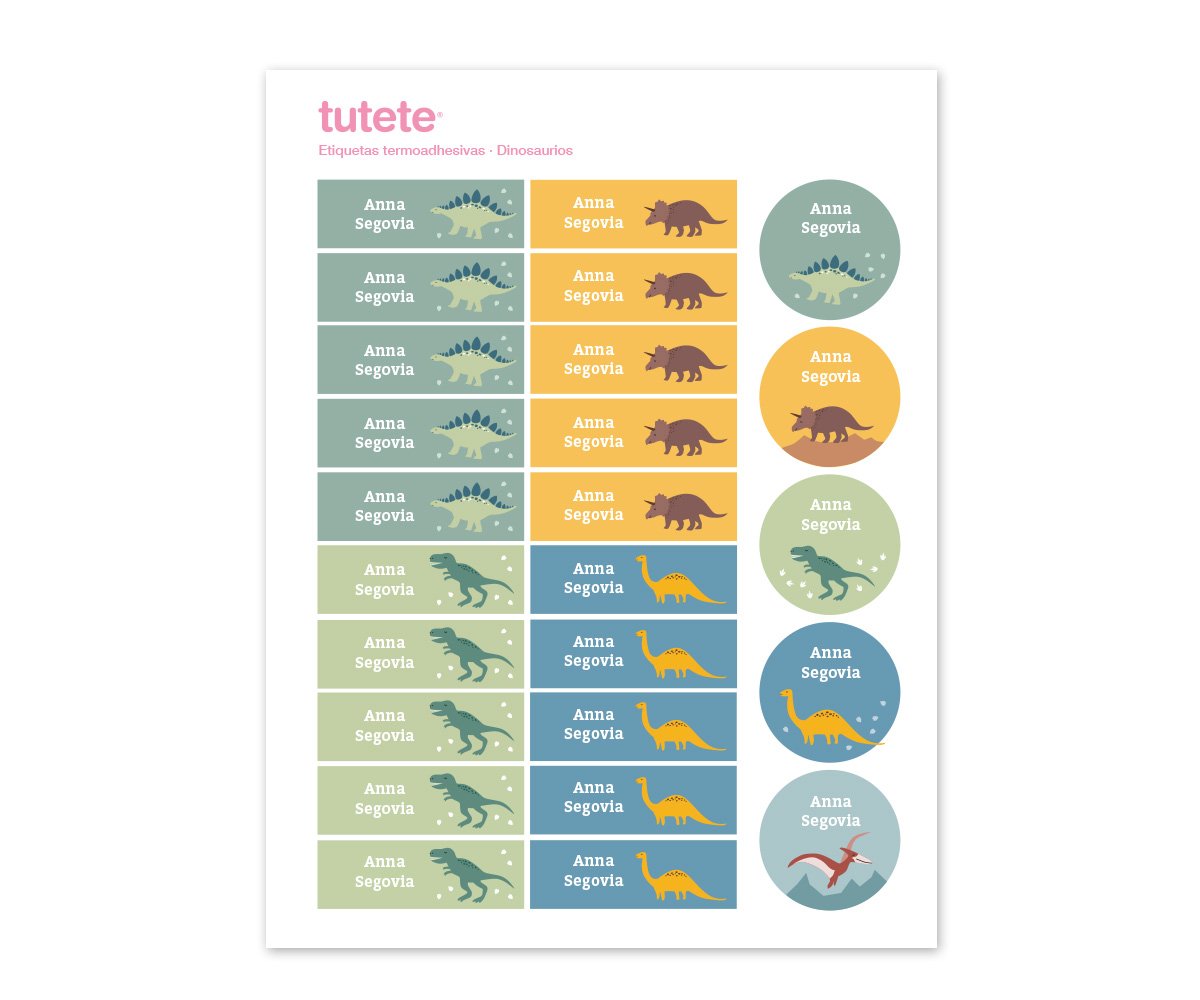 Pack Combinado Termo y Pegatinas Dinosaurios
