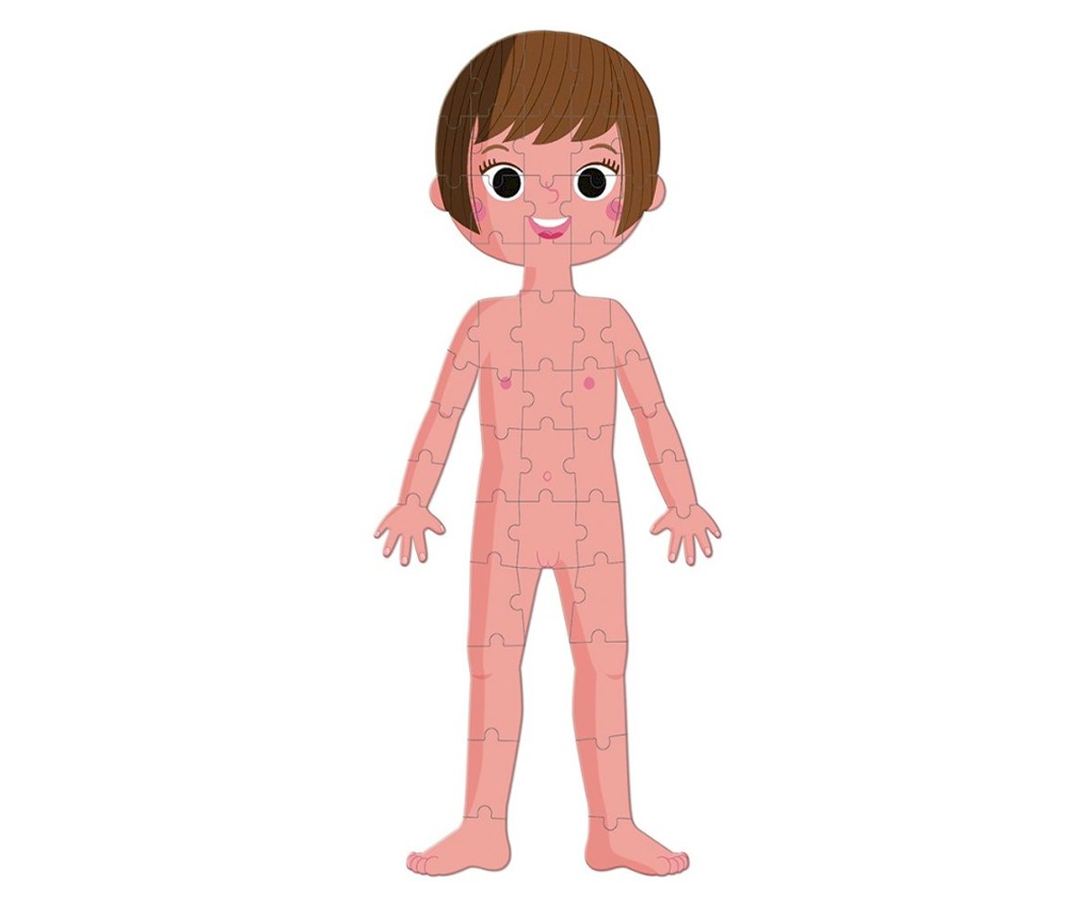 4 Quebra-Cabeças Educacionais O Corpo Humano