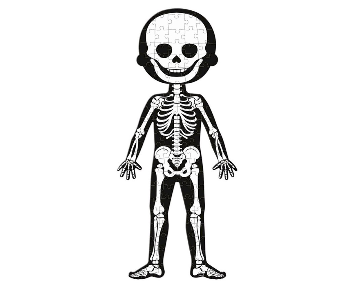 4 Quebra-Cabeças Educacionais O Corpo Humano