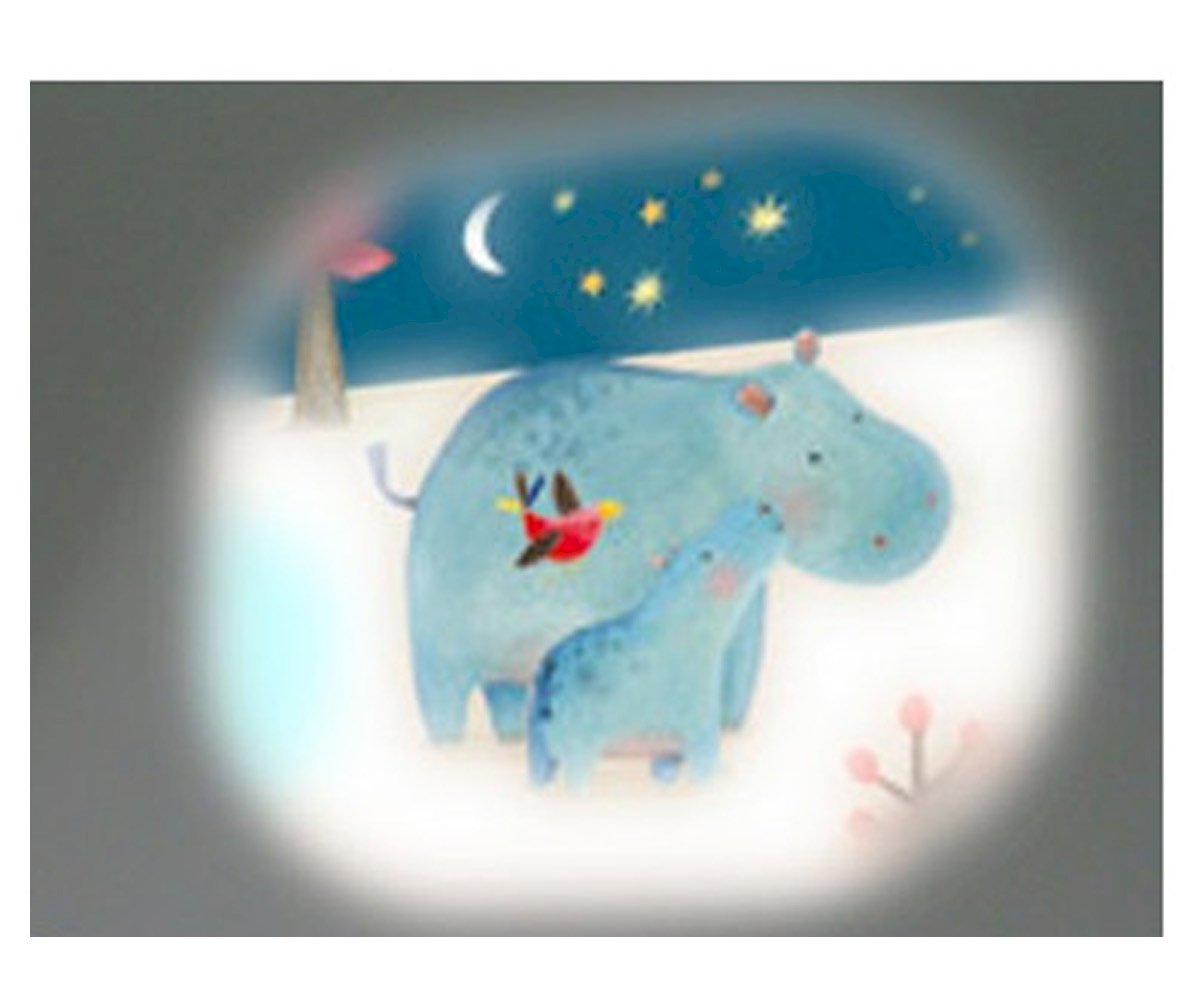 Boîte 3 Disques pour Lanterne Projecteur Le Papoum