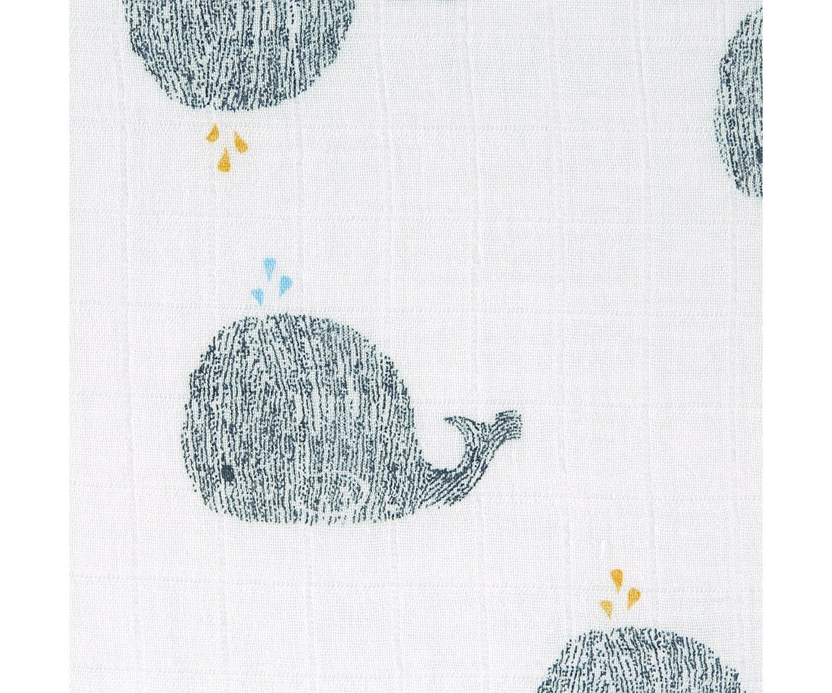 3 Muselinas Water Whale