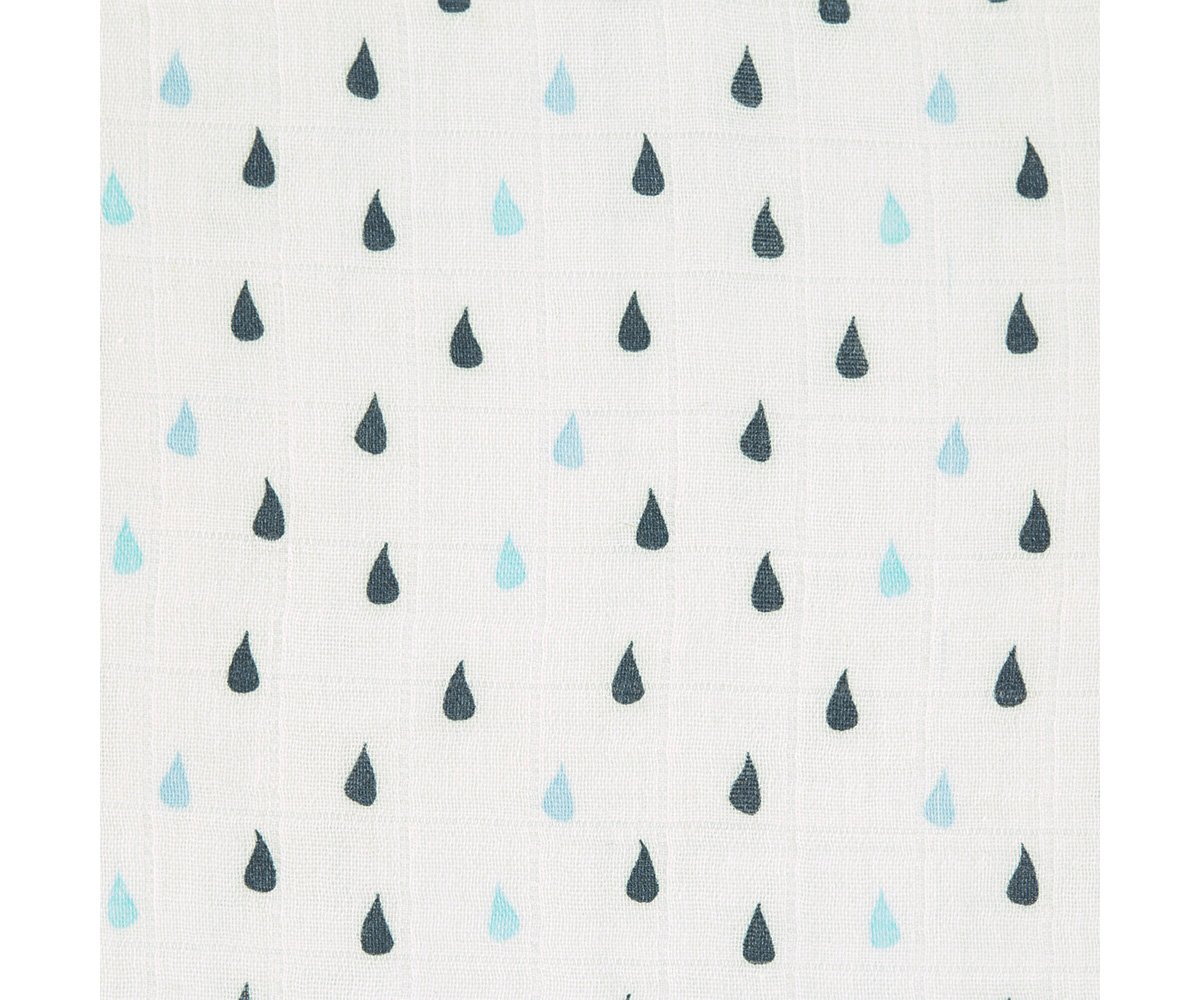 3 Muselinas Water Whale