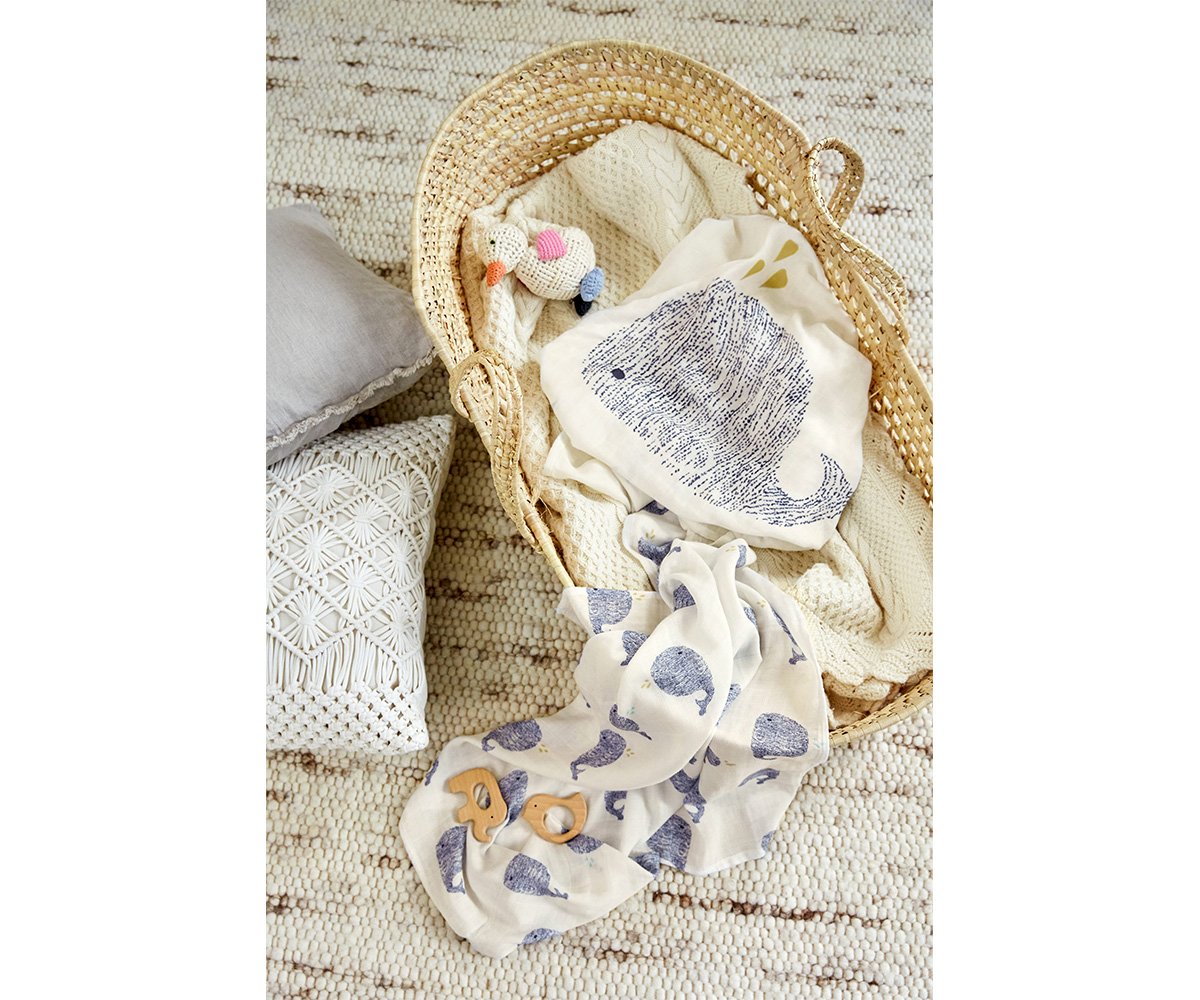 3 Muselinas Water Whale