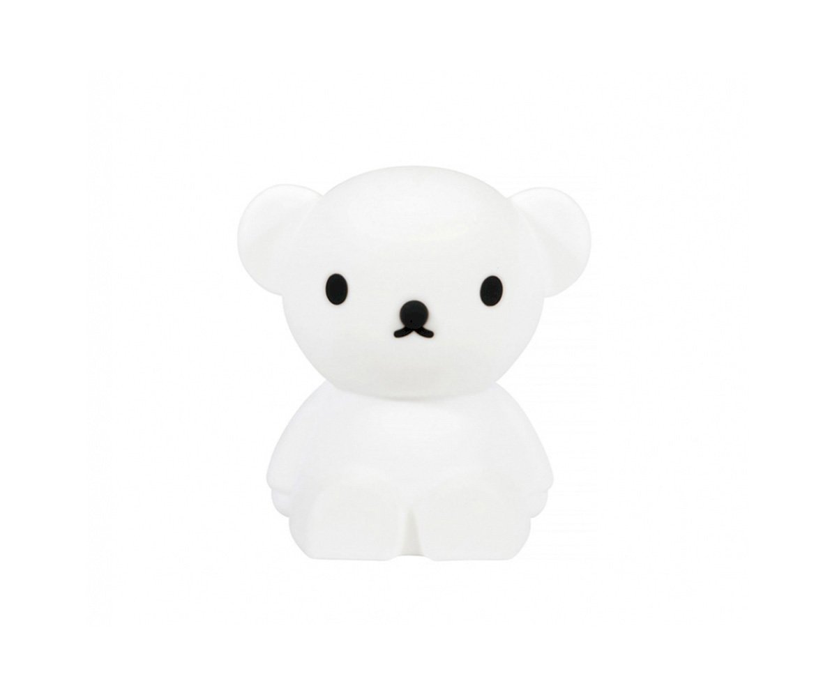 Mon premier ours léger Boris