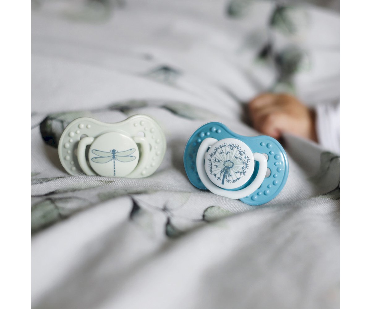 2 Succhietti Lovi Botanic Blue Vintage