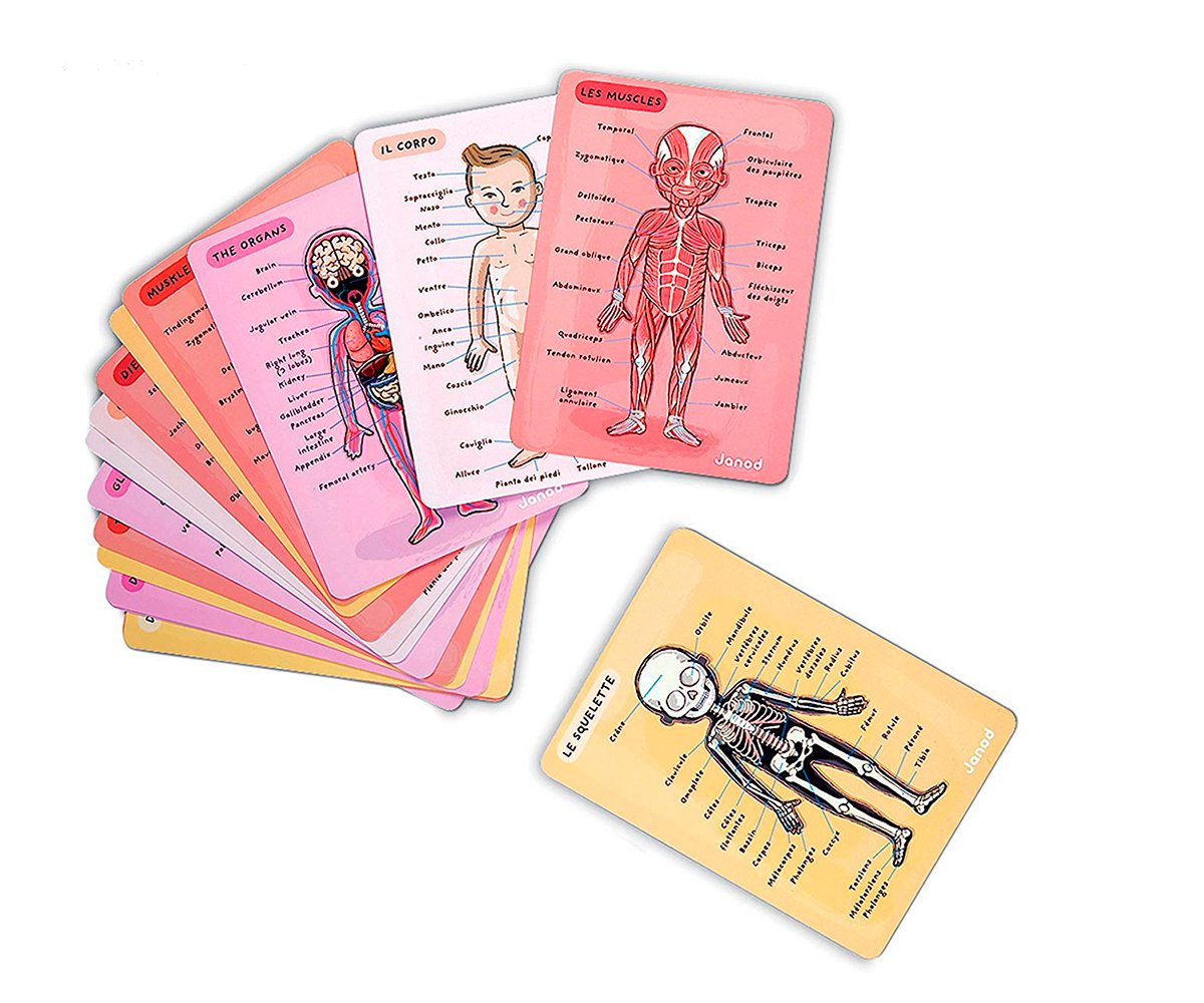 Puzzle Magnetico Corpo Umano