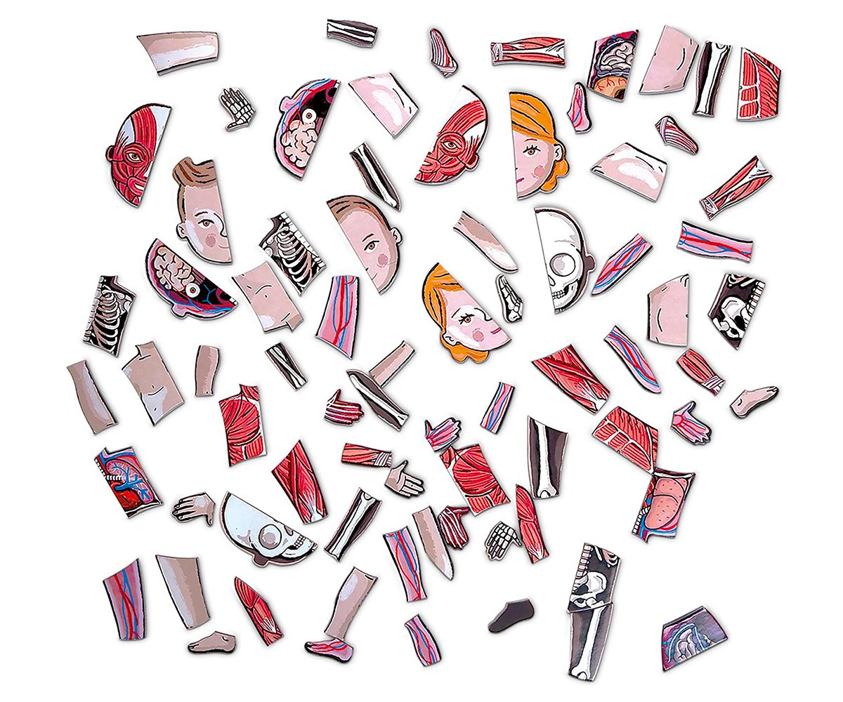 Puzzle Magnetico Corpo Umano