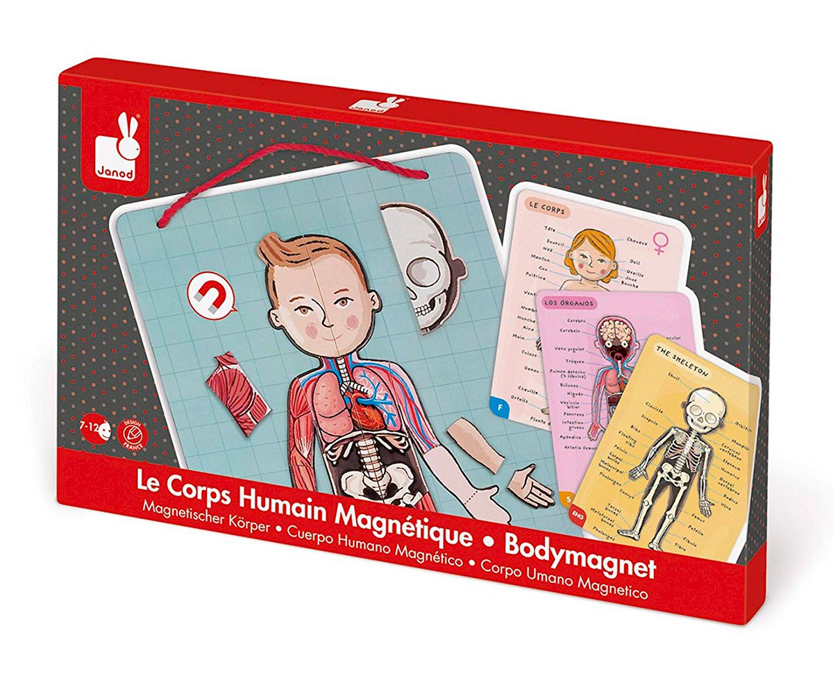 Puzzle Magnetico Corpo Umano