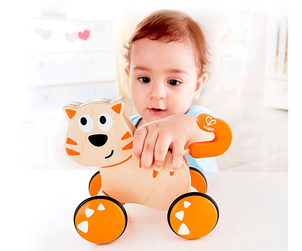 Gatito Dante Push And Go