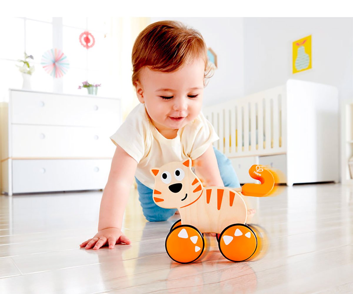 Gatito Dante Push And Go