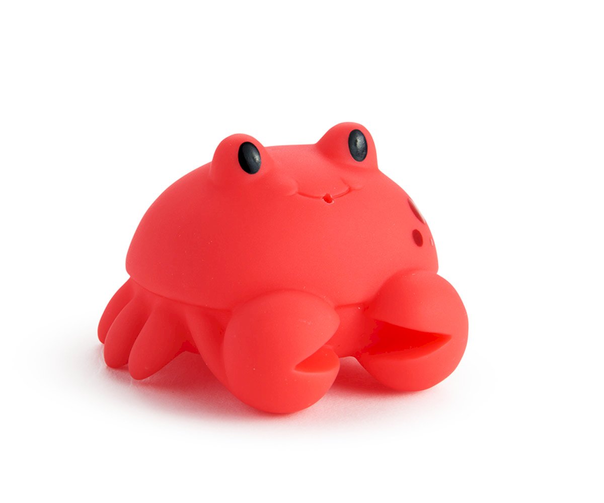 Animais Lança Jatos de Água Marinhos