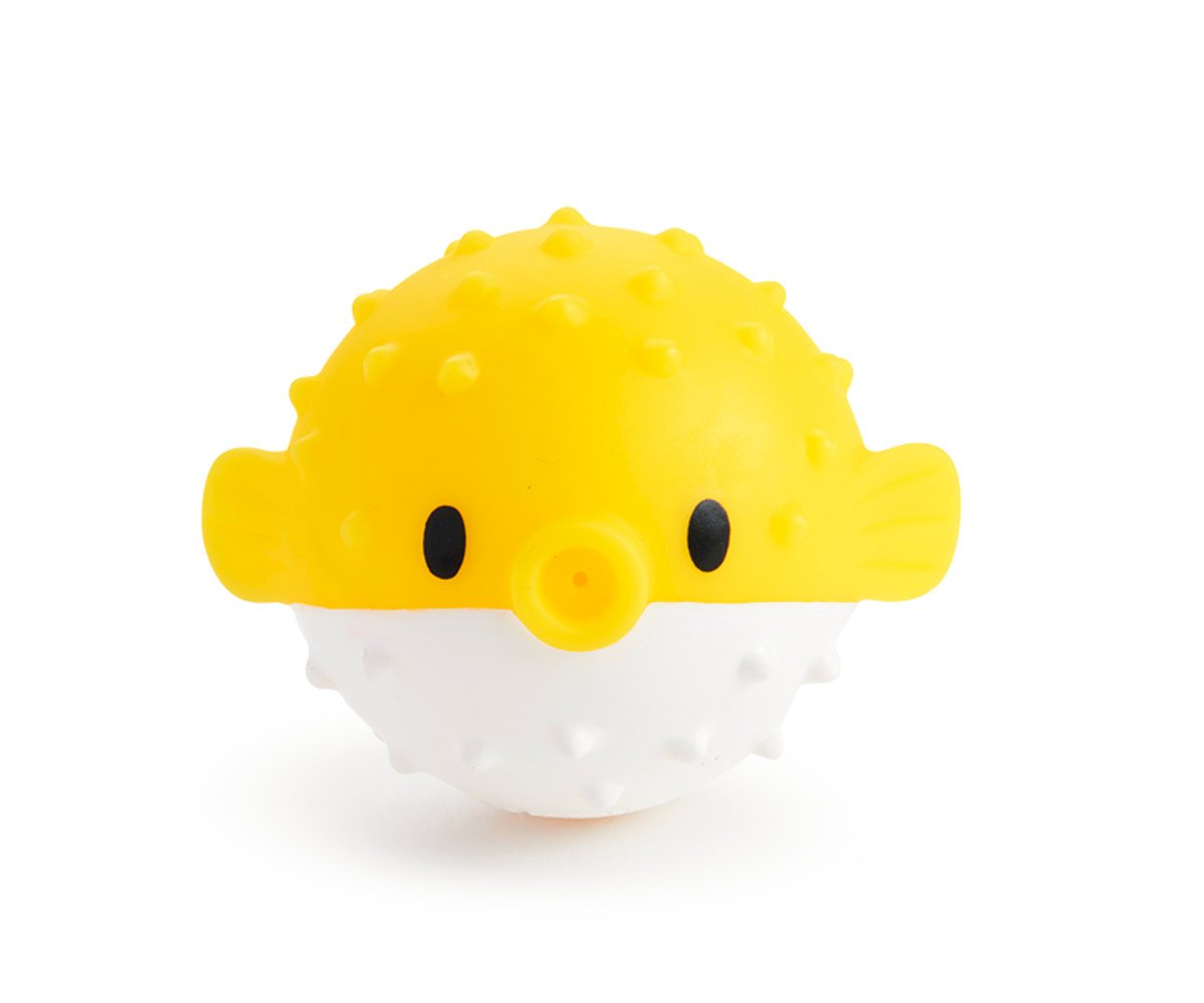 Animais Lança Jatos de Água Marinhos