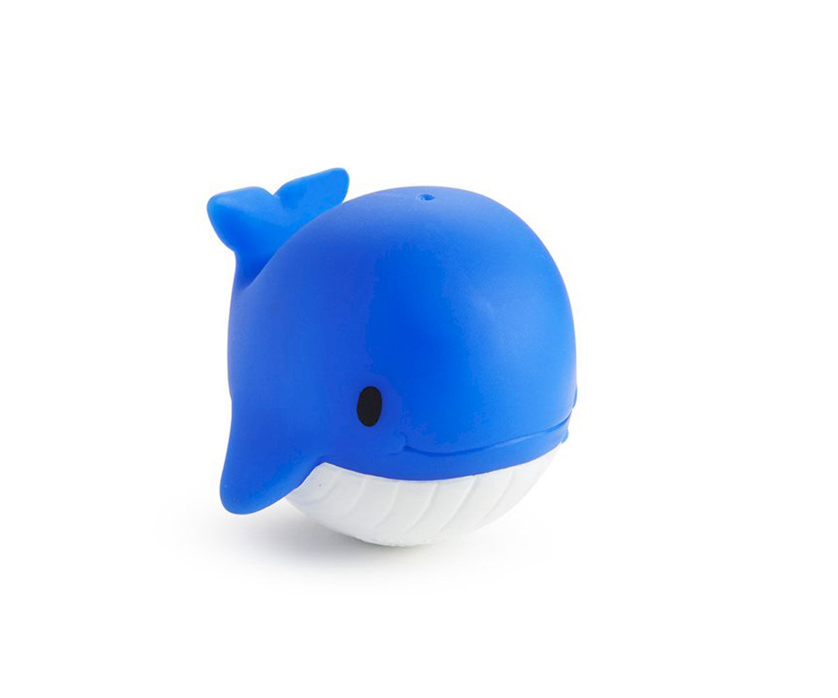 Animais Lança Jatos de Água Marinhos