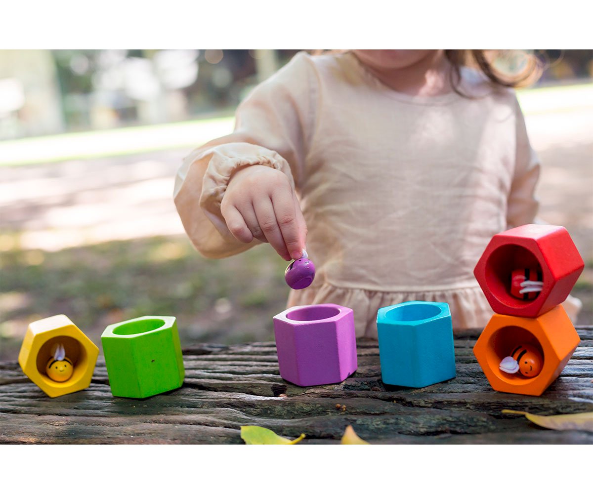Alveare Plan Toys Multicolor