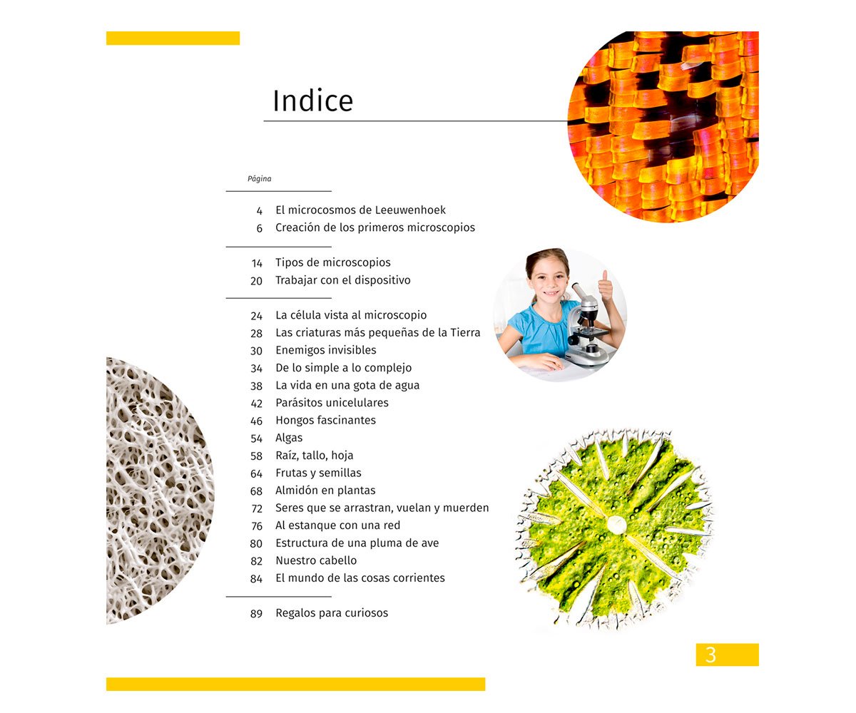 Libro Educativo El Mundo Invisible ES