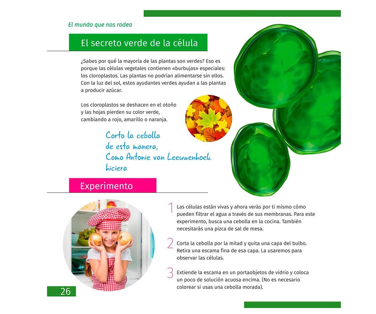 Libro Educativo El Mundo Invisible ES