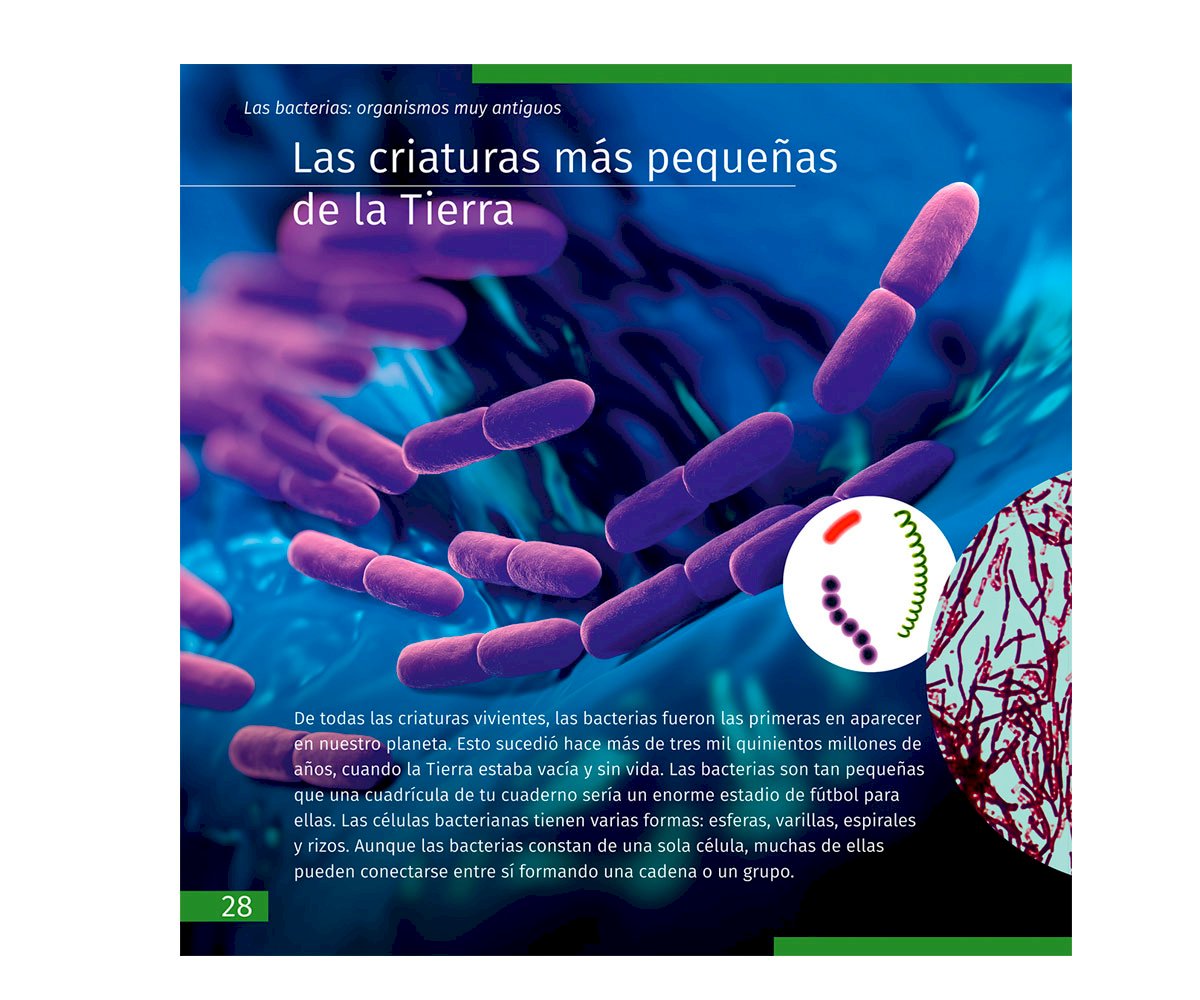 Libro Educativo El Mundo Invisible ES