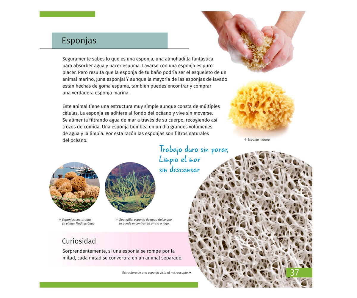 Libro Educativo El Mundo Invisible ES