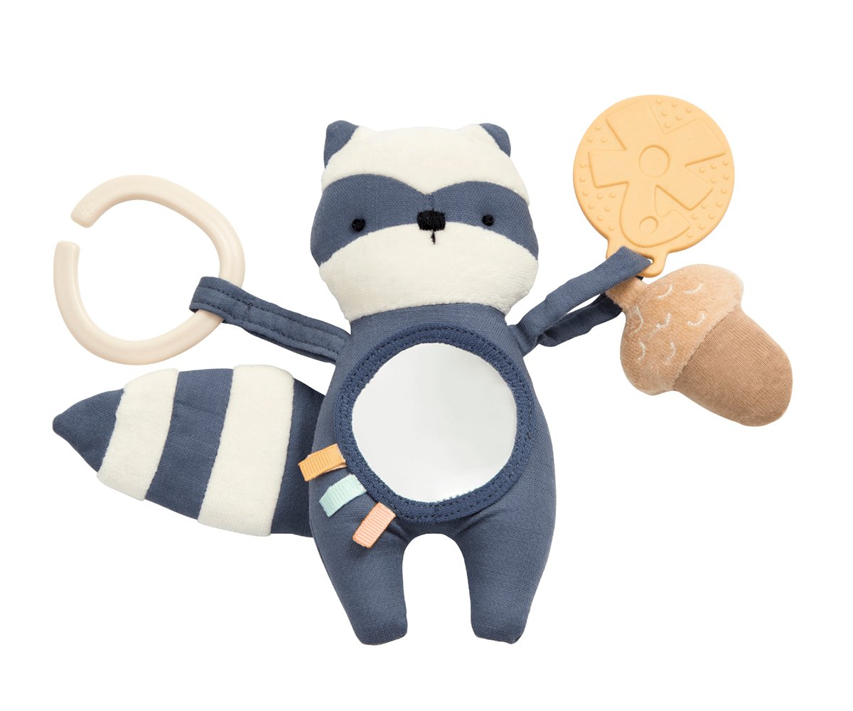 Activity Toy Procione Rebel