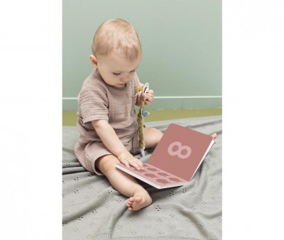 Libro Numeri All Animals Trixie