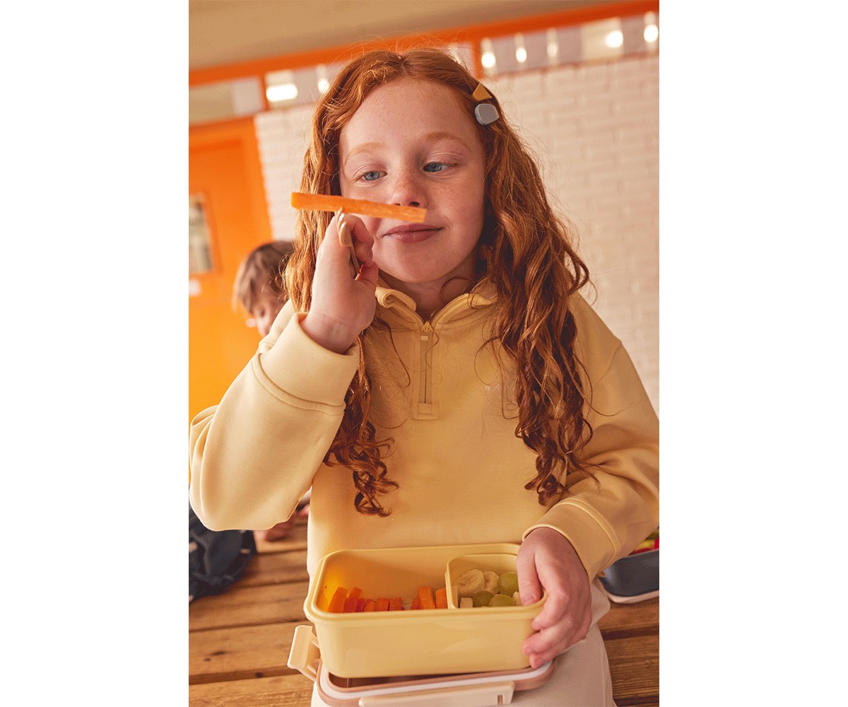 Boîte à Lunch Bento Magical Forest