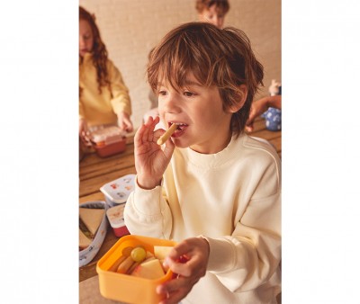 3 Lunch Boxes Little Red