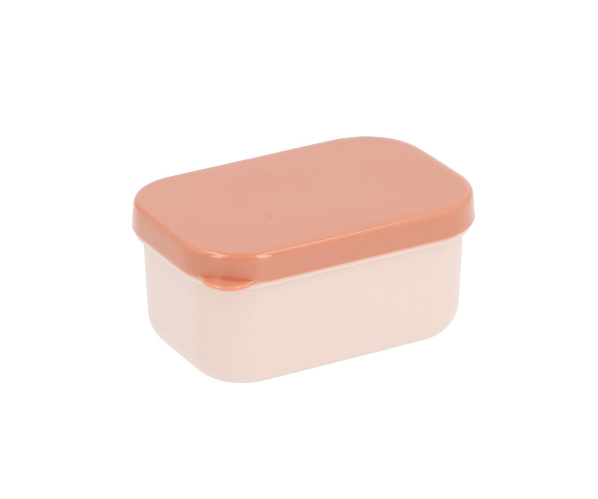 Boîte à Lunch Bento Geometric Nature