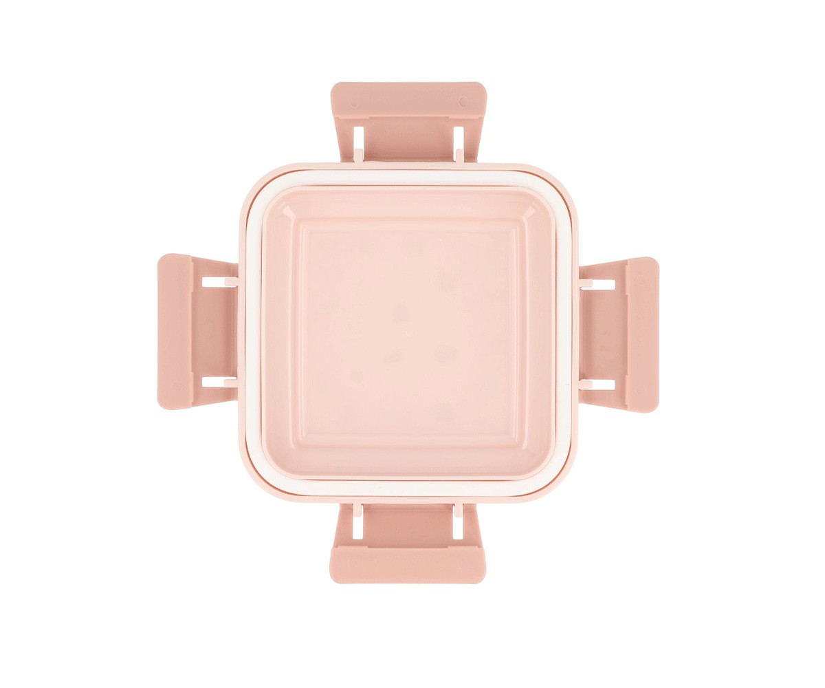 Petite Boîte à Lunch Geometric Nature