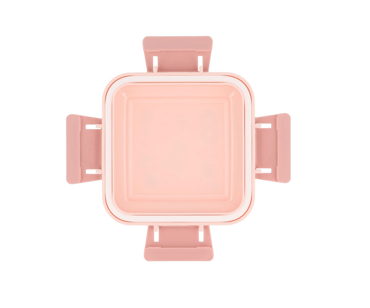 Lunch Box Little Red