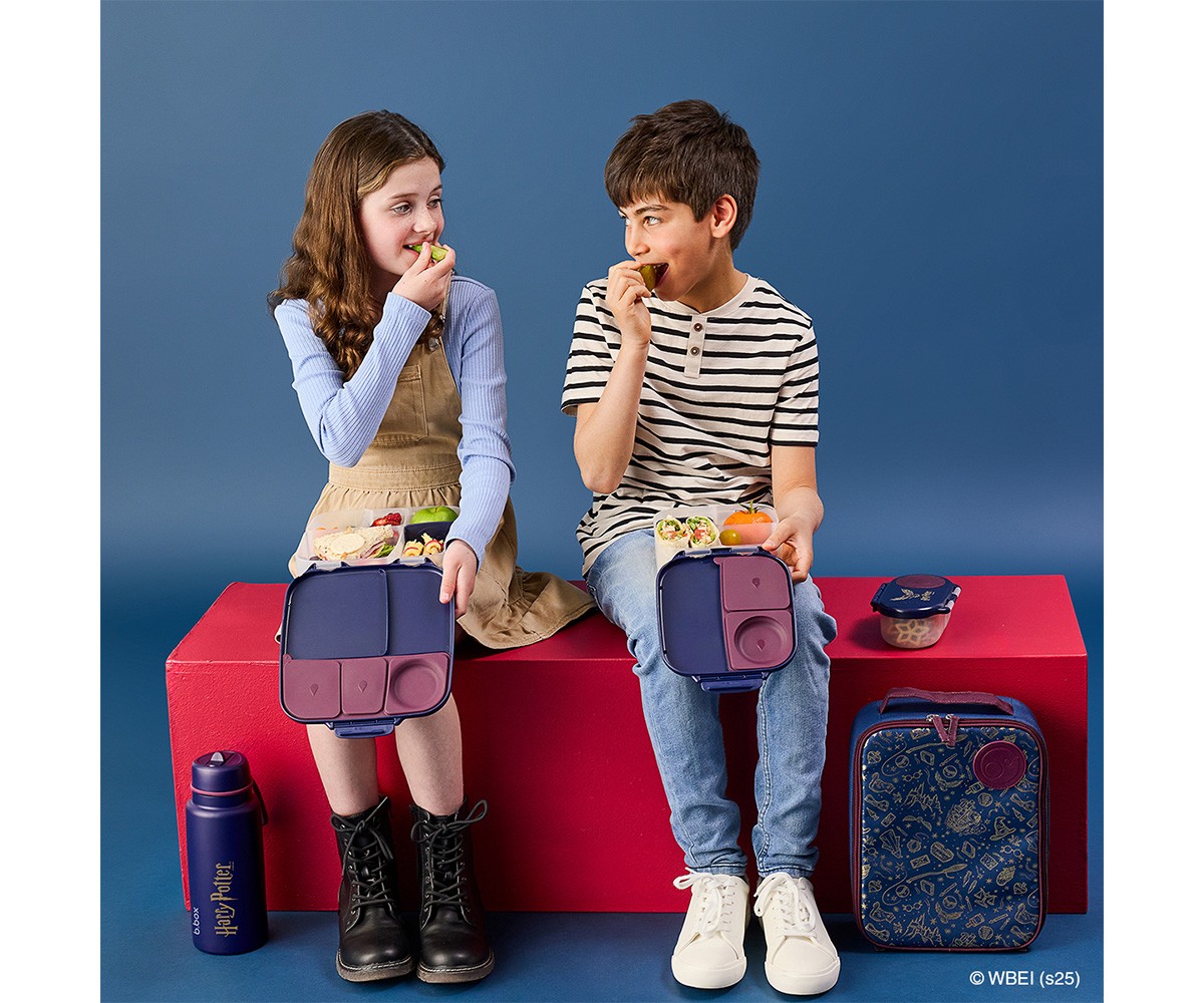 Boîte à Lunch avec Gel Réfrigérant Harry Potter