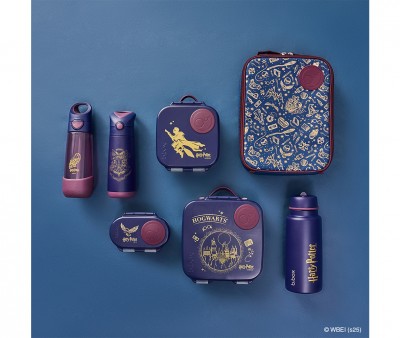 Mini Lunch Box Harry Potter