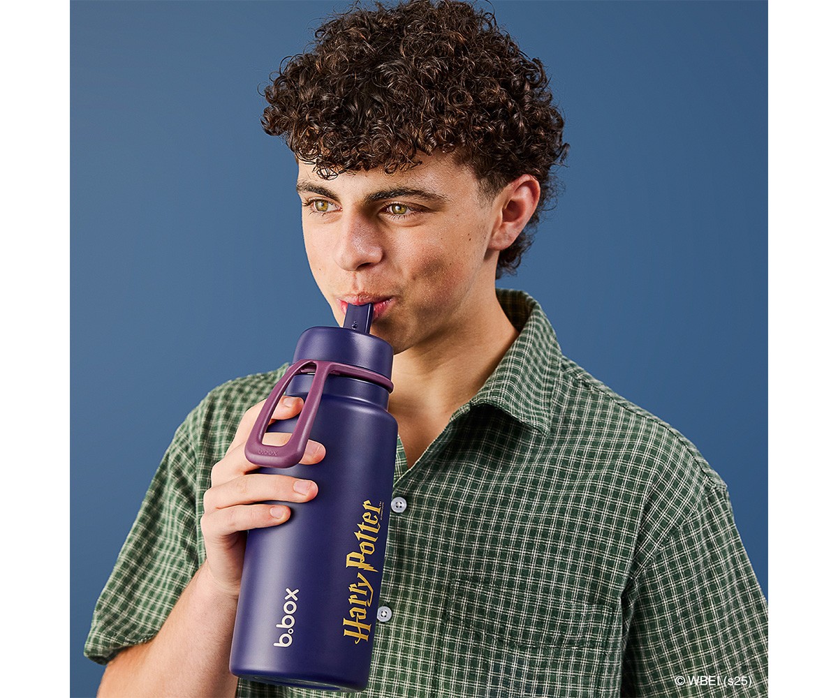 Gourde Isotherme avec Bec Rabattable et Anse 1 L Harry Potter