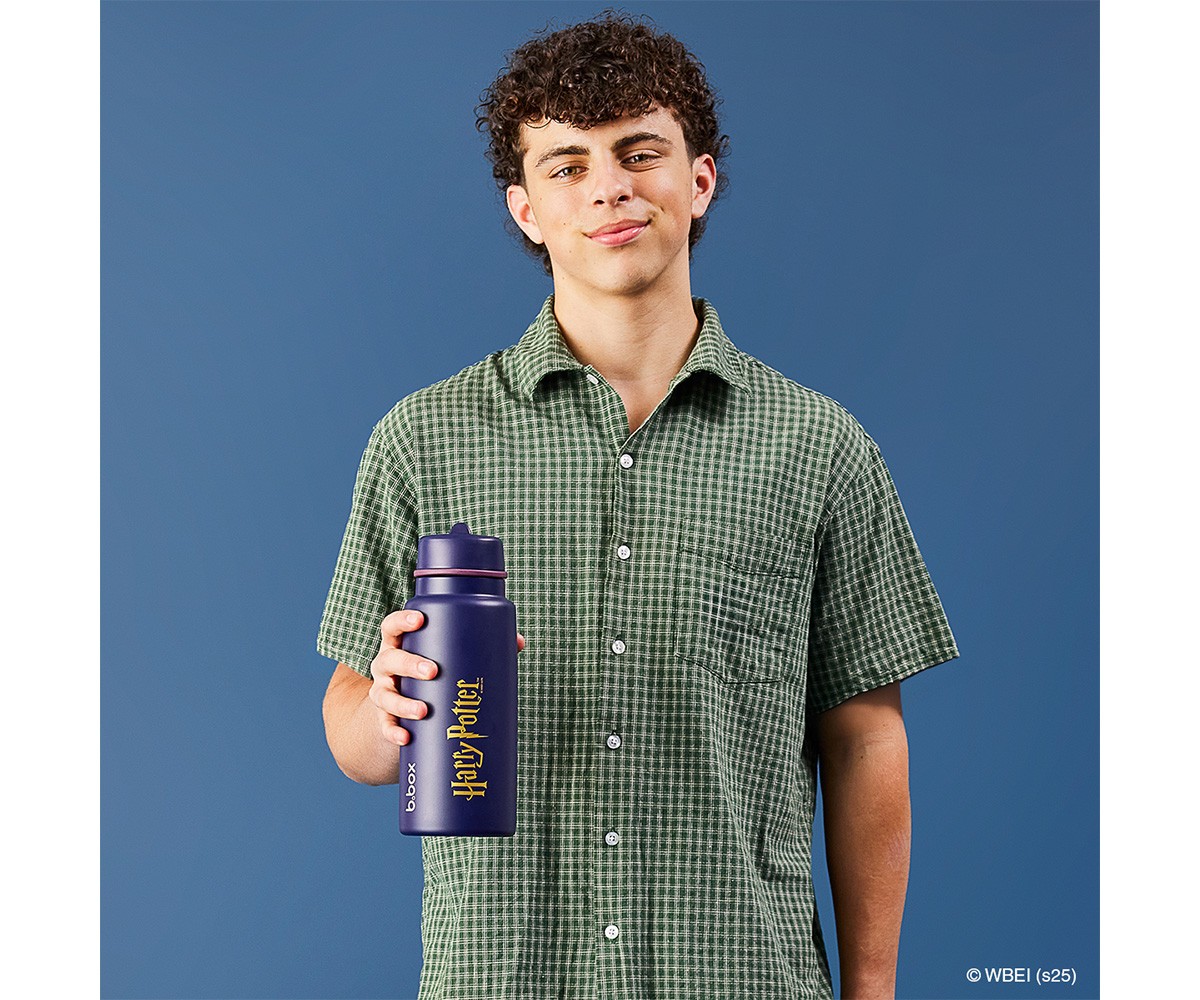 Gourde Isotherme avec Bec Rabattable et Anse 1 L Harry Potter