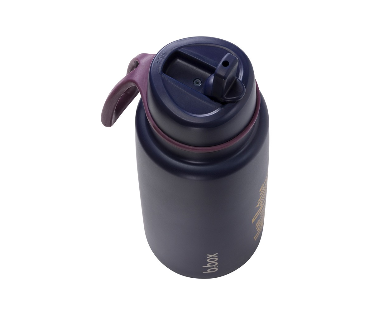 Gourde Isotherme avec Bec Rabattable et Anse 1 L Harry Potter