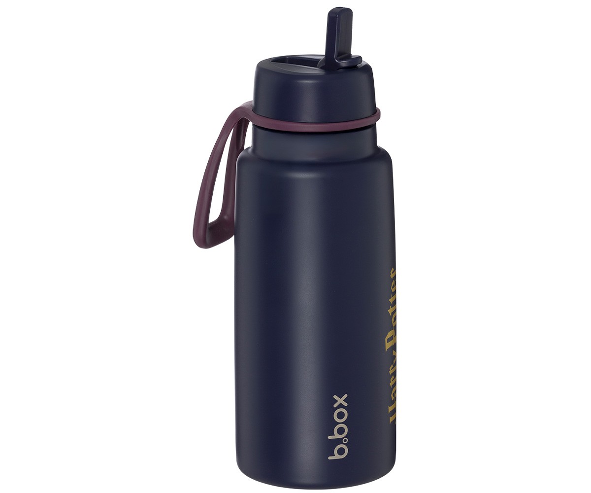 Gourde Isotherme avec Bec Rabattable et Anse 1 L Harry Potter