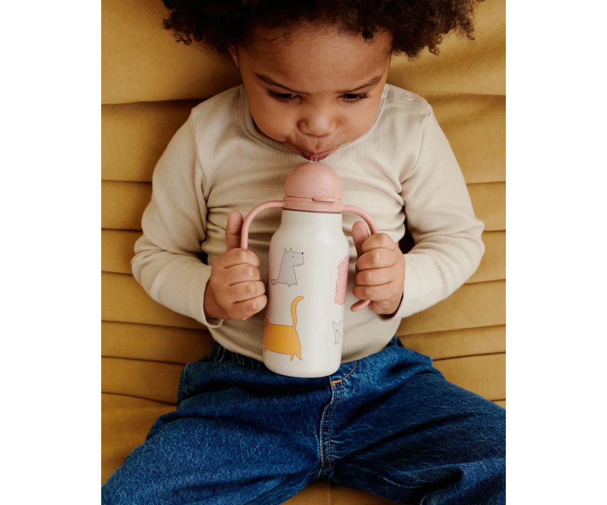 Garrafa de aço térmico Kimmie Cats and Dogs/Sandy 250 ml