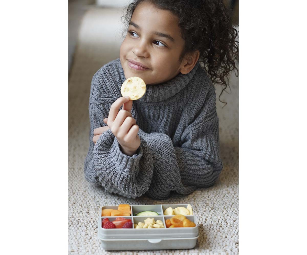 Snackle Box 6 compartimentos cinza