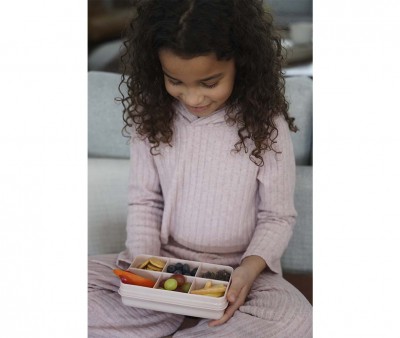 Snackle Box Pink 6 Scomparti