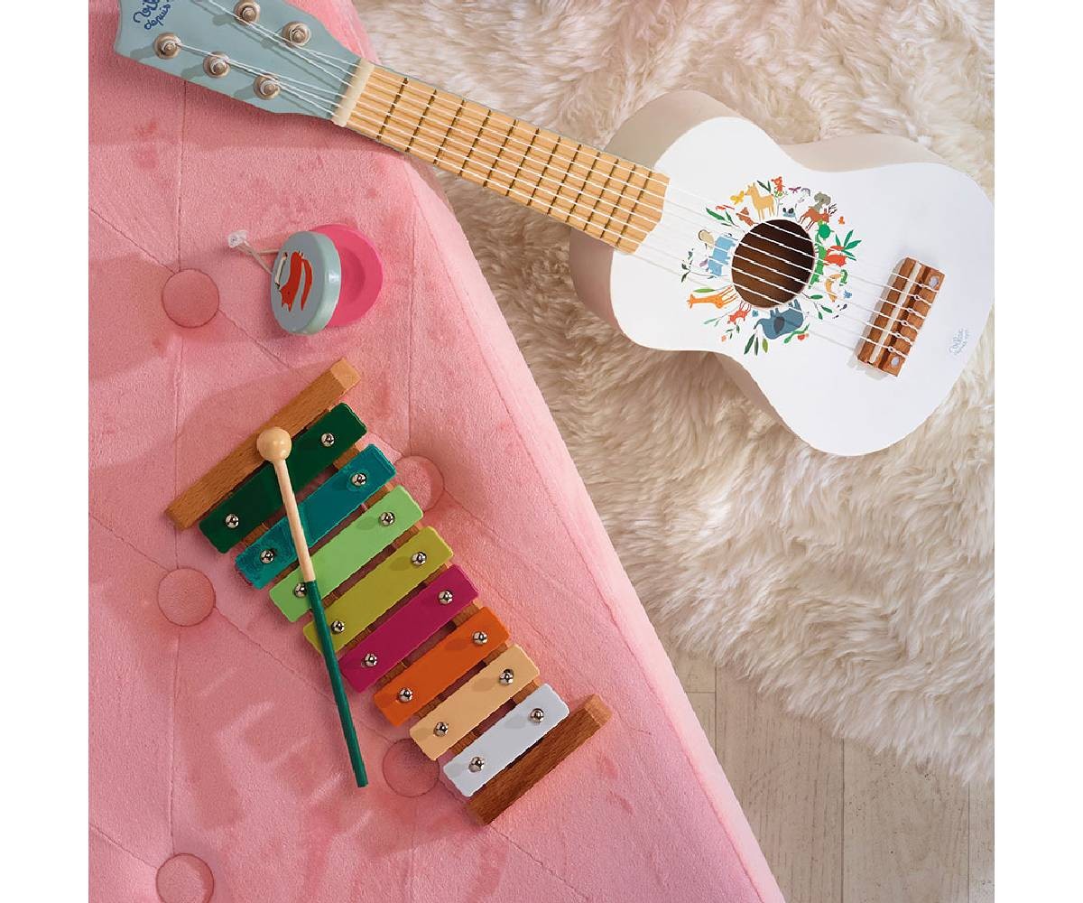 Conjunto de percussão ?Animais do Mundo?