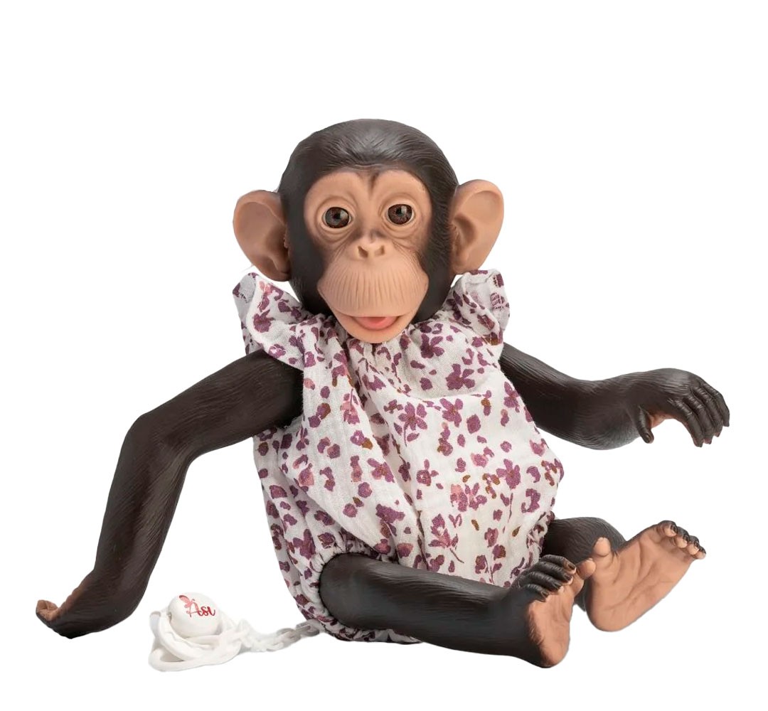 Lola La Chimpancé Reborn con Pelele Musa Flores