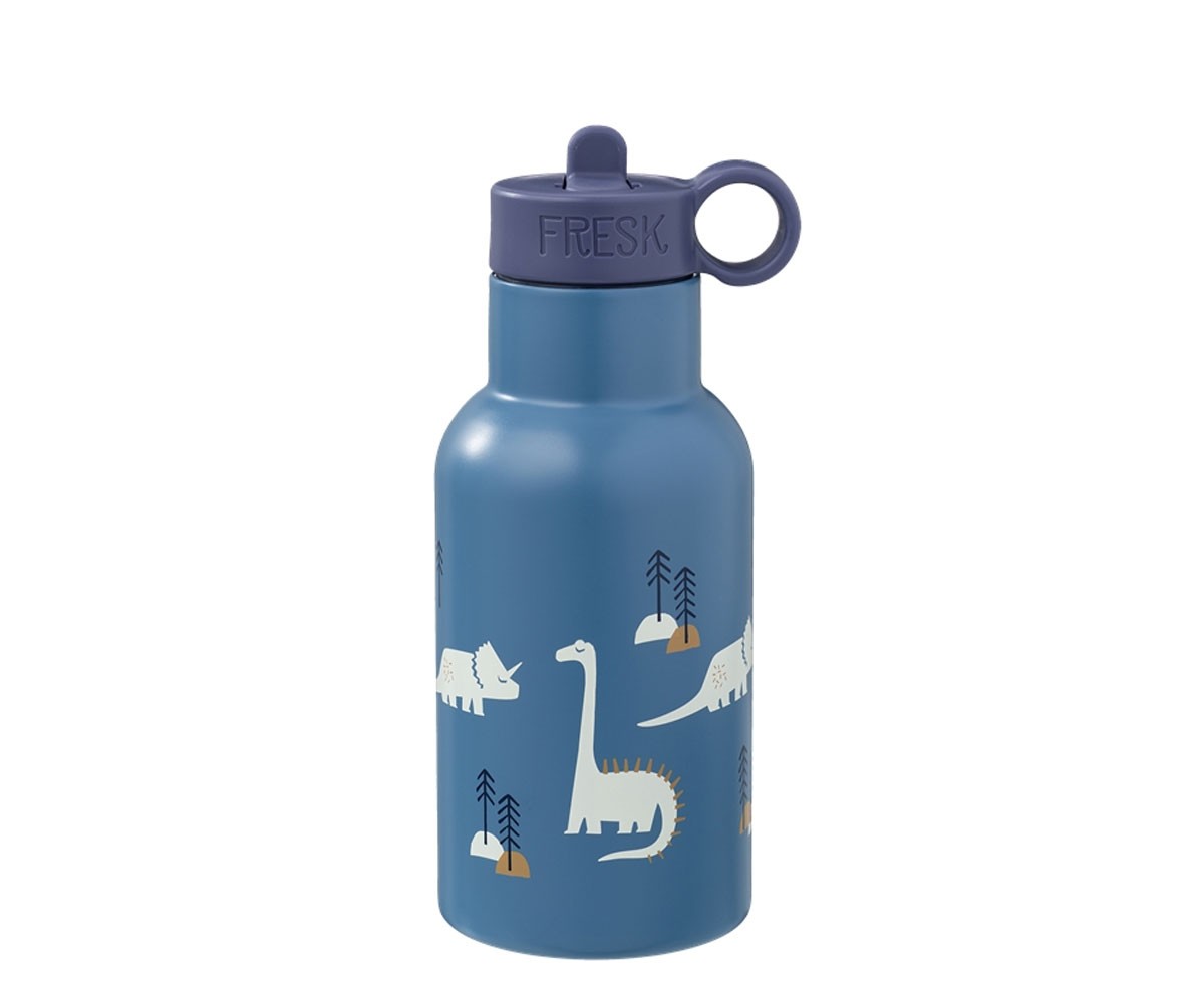 Botella Térmica con Boquilla Recambio Dinosaurios 350ml