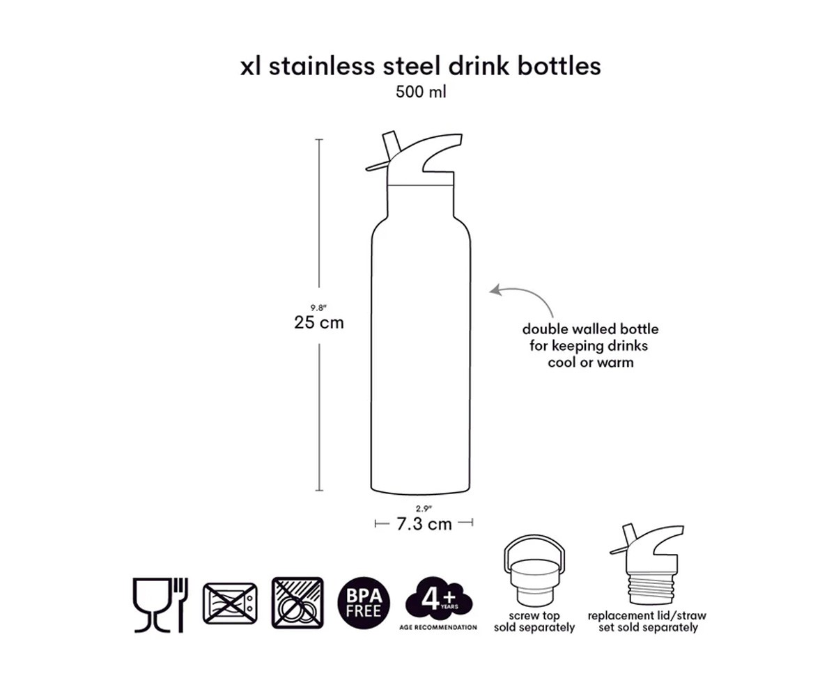 Gourde Isotherme en Acier Pirates 500 ml