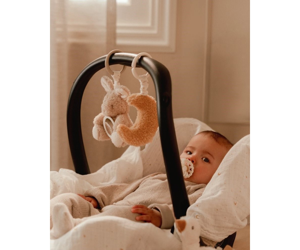 Brinquedos e anéis pendurados Newborn Naturals