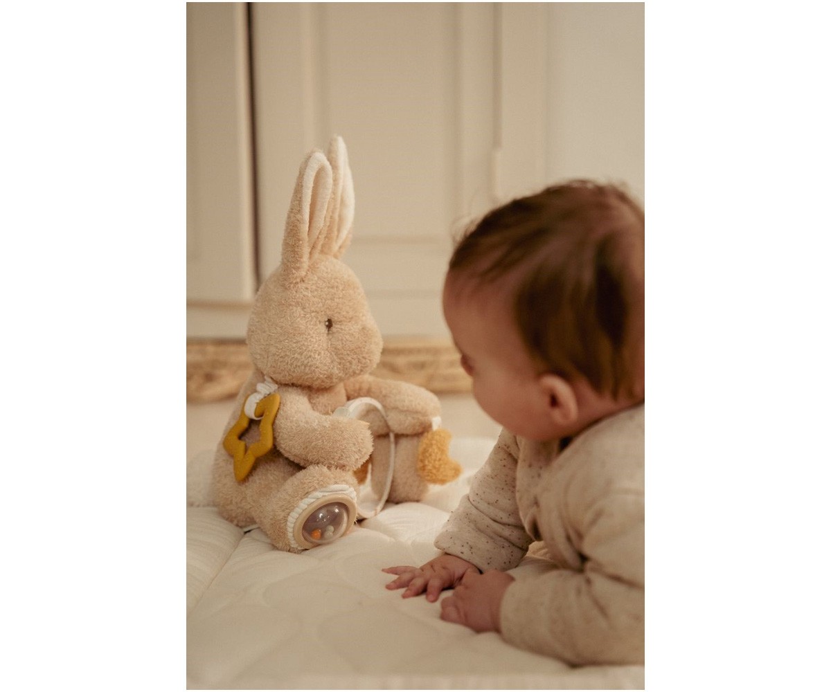 Coelho Atividades Naturais para Recém-Nascidos